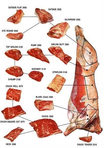Meat cut reference
