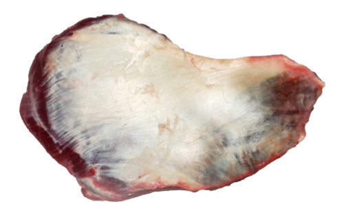 Additional meat product photograph
